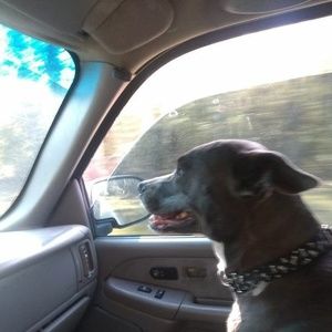 Meet your Posher, Lee